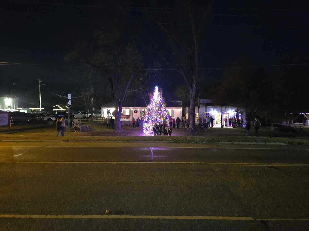 Christmas Tree with Museum in Background